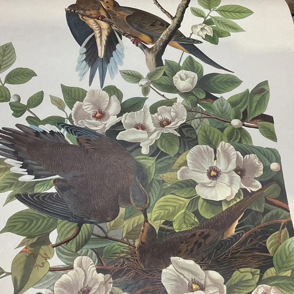 Blue and White Bird Art Calendar1946